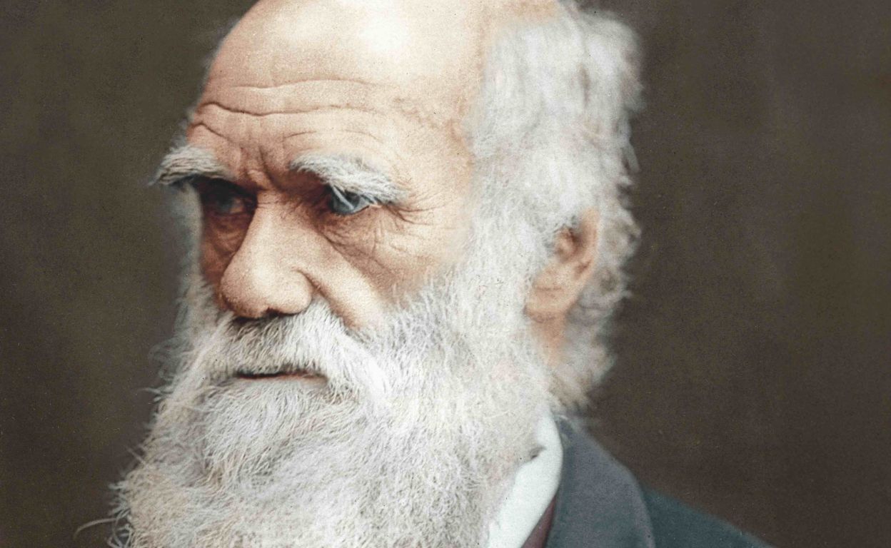 Darwin no fue un despiadado darwinista: cómo la ley del más fuerte tergiversa su teoría